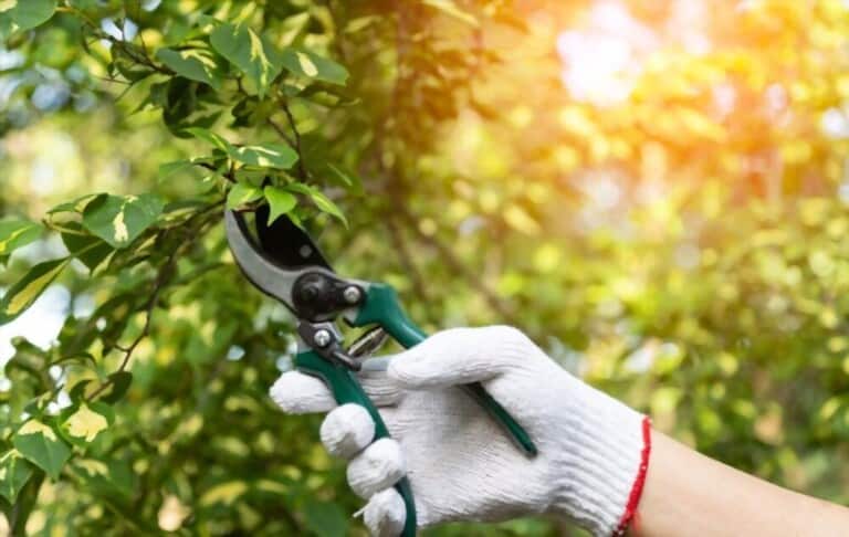 Different Types Of Gardening Tools Different Types Of Gardening Tools