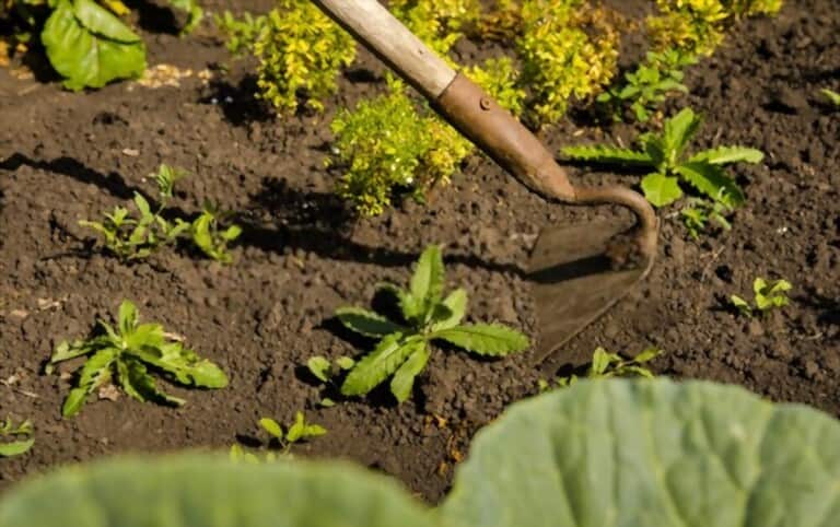 Different Types Of Gardening Tools Different Types Of Gardening Tools