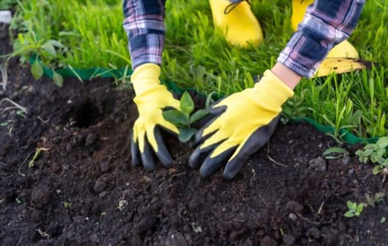 Different Types Of Gardening Tools Different Types Of Gardening Tools