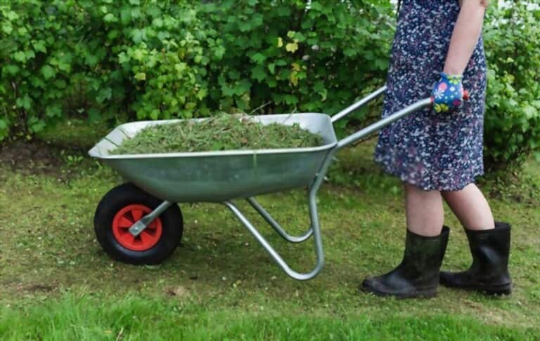 Different Types Of Gardening Tools Different Types Of Gardening Tools