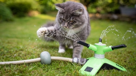 6 Best Lawn Sprinklers of 2025