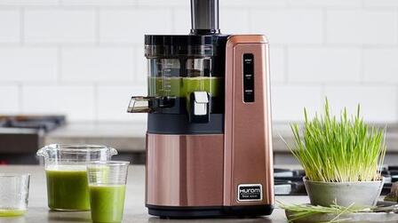 6 Best Hurom Slow Juicers of 2025
