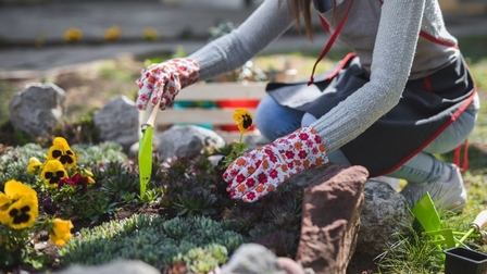 6 Best Compost For Lawn of 2025