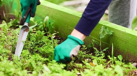 6 Best Organic Potting Soil for Herbs of 2025