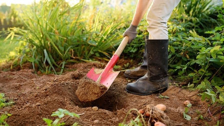 6 Best Shovels For Digging of 2025