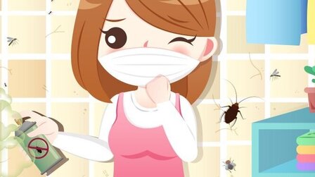 6 Best Insecticides for Spiders of 2025