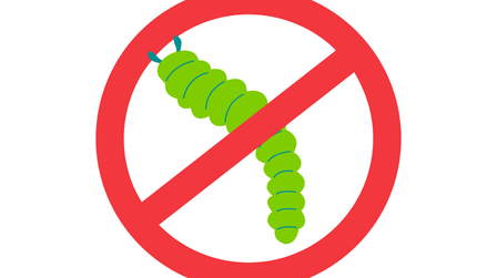 6 Best Grub Killer For Lawn of 2025