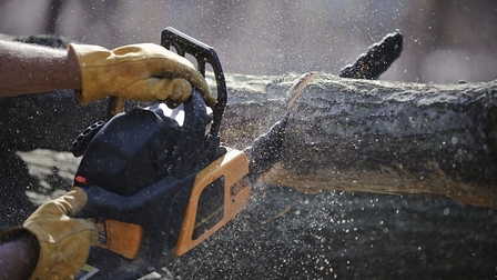 6 Best Chainsaw for Firewood of 2025 6 Best Chainsaw for Firewood of 2025