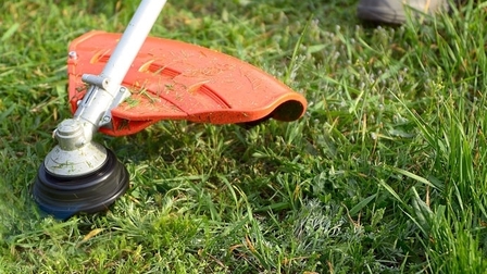 6 Best Cordless Lawn Edgers of 2025