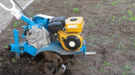6 Best Small Garden Tillers of 2025