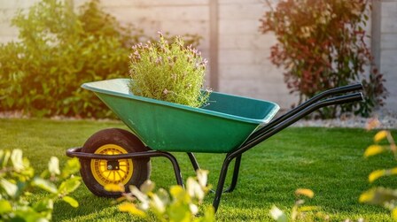 6 Best Wheelbarrows for Gardening of 2025