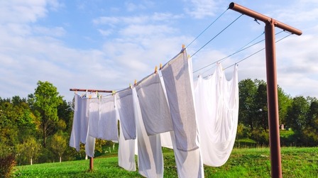 6 Best Folding Clothesline of 2025