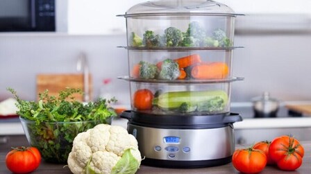 6 Best Electric Steamer for Vegetables of 2025