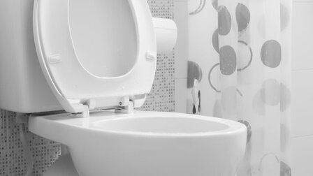 6 Best Toilet for Heavy Person of 2025