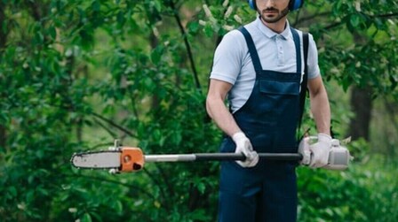 Pole Saw Cutting Techniques