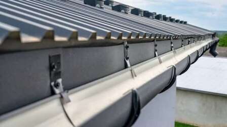 6 Best Gutters for Pine Needles of 2025