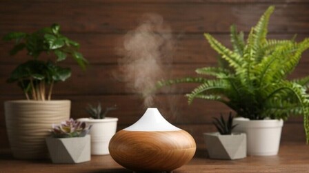 6 Best Humidifiers for Sinuses of 2025