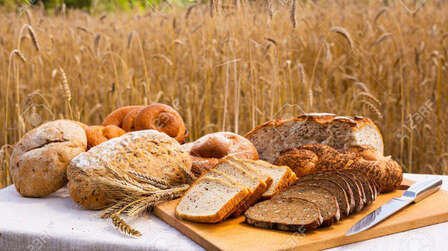 Different Types of Bread Makers