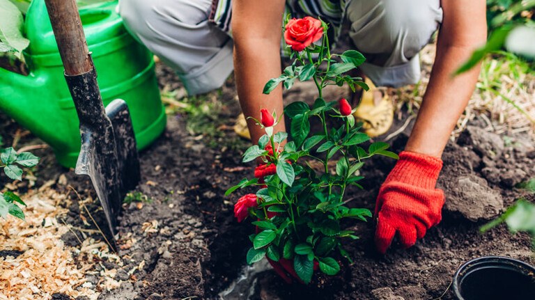 How to Set Up Garden Spheres Stones How to Set Up Garden Spheres Stones