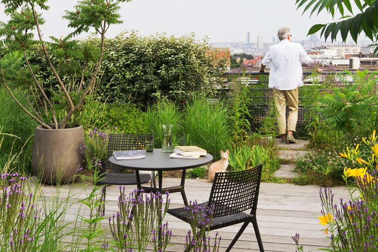 How to Set Up A Rooftop Garden How to Set Up A Rooftop Garden