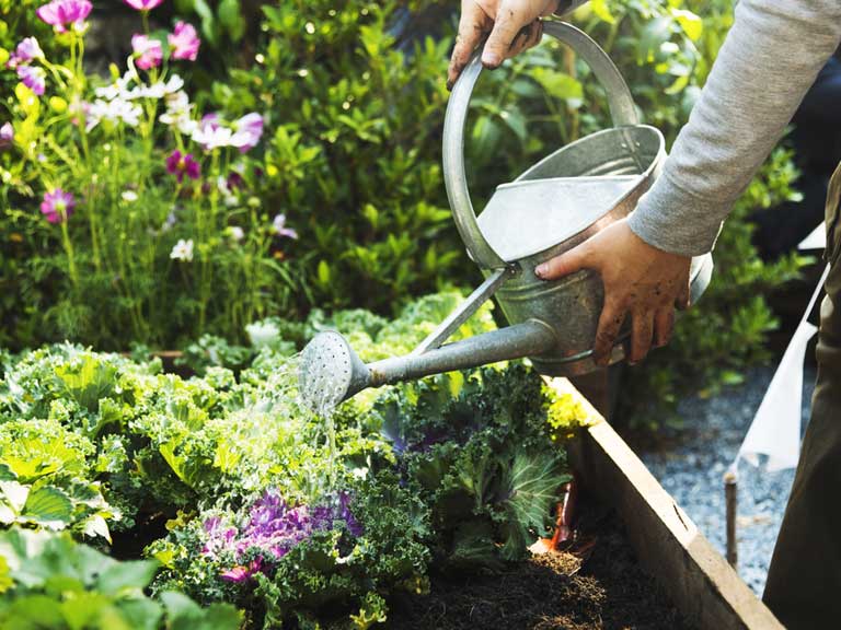 How to Set Up A Rooftop Garden How to Set Up A Rooftop Garden