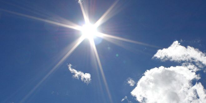 How to Set Up A Rooftop Garden How to Set Up A Rooftop Garden