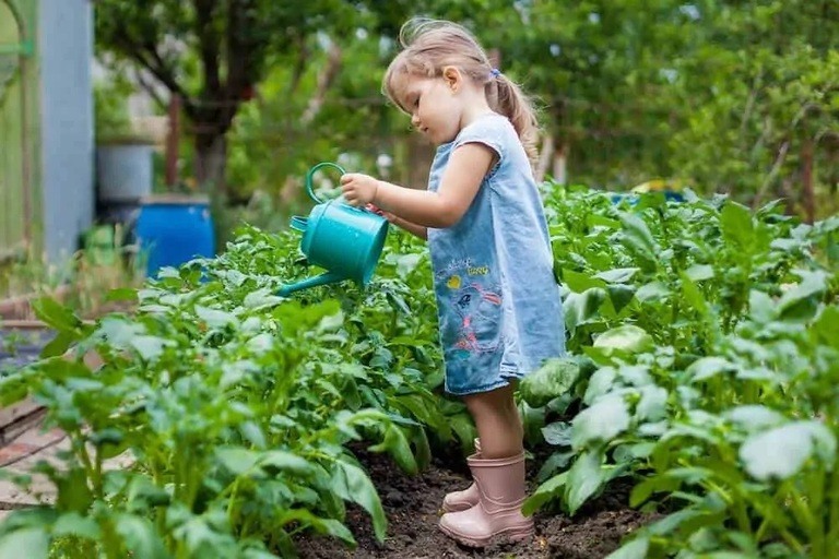 Benefits of Gardening for Children Benefits of Gardening for Children