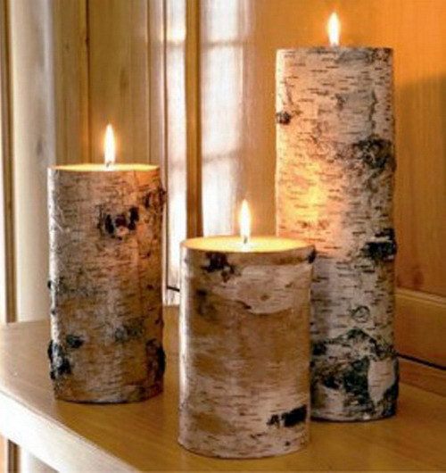 Ideas of Tree Bark Designs Ideas of Tree Bark Designs