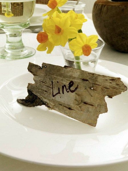 Ideas of Tree Bark Designs Ideas of Tree Bark Designs