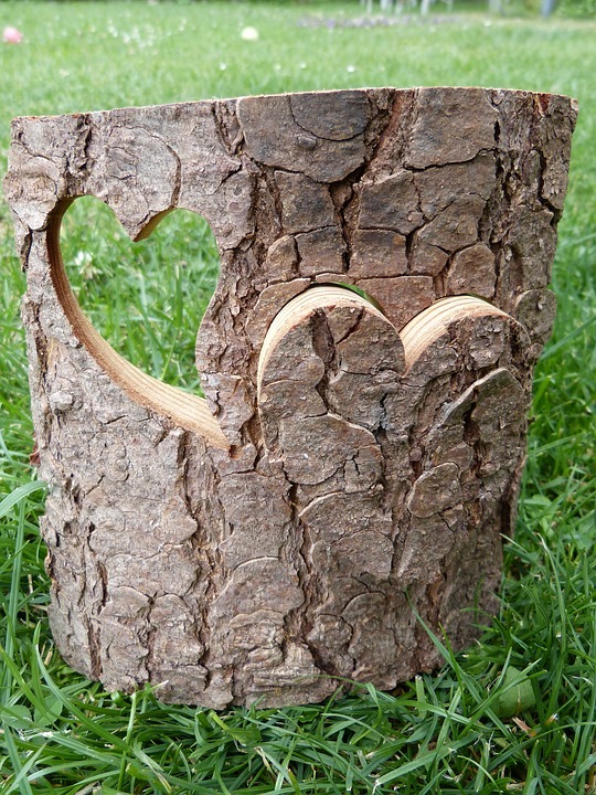 Ideas of Tree Bark Designs Ideas of Tree Bark Designs